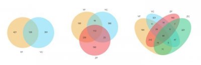 ​如何绘制韦恩图？