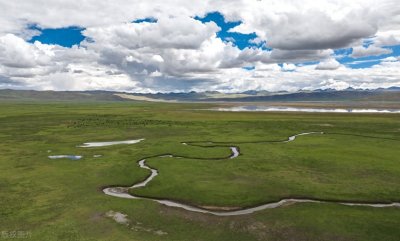 ​暑假阅读卡范例30则（好词、好句摘录，阅读感受撰写）
