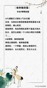 ​书荒推荐，趣味甜文《人类观察计划》