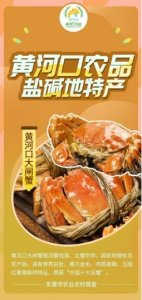 ​品黄河口农品，尝盐碱地特产——黄河口大闸蟹