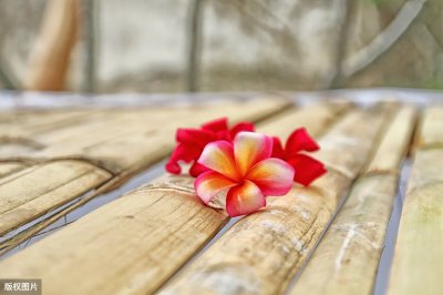 ​人生难得相遇，一曲《走着走着花就开了》，唱到心坎里！