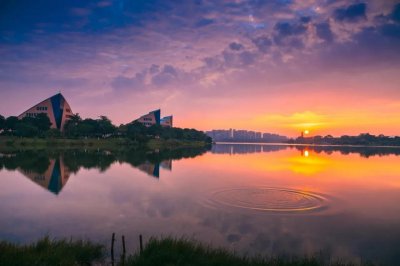 ​松山湖，创新创业，楼市投资，生活居住的好地方