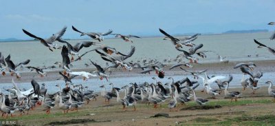 ​五大淡水湖是哪五个（中国最美的五大淡水湖）