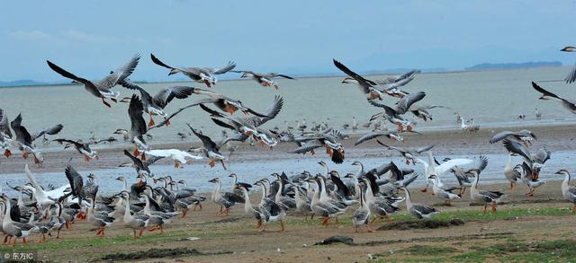 五大淡水湖是哪五个(中国最美的五大淡水湖)(1)