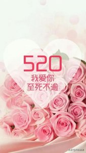 ​520爱心图片，最漂亮520情人节唯美图片，520朋友圈表白图片大全