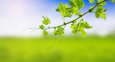 ​春分杨公忌日，三事不做，不招灾祸