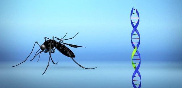 儿童科学启蒙100个技巧（萌娃发音练成蚊子召唤术）(7)