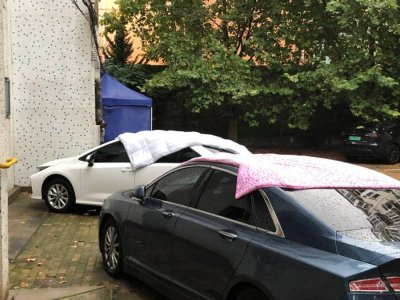 ​刚刚，烟台突降冰雹，市民紧急拿棉被护车