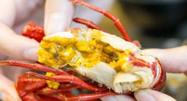 小龙虾头上的黄是什么,小龙虾的虾黄是什么部位图片图3