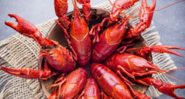 小龙虾头上的黄是什么,小龙虾的虾黄是什么部位图片图2