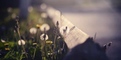 ​一些挽留的话，想挽回一段感情的话