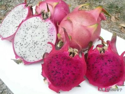 ​白色火龙果和红色有什么区别（哪个营养价值高）