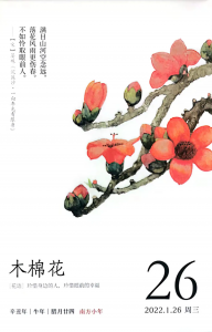 ​木棉花长什么样子图片（图文赏析木棉花的真正样子）