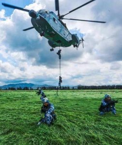 ​海军陆战队属于特种部队吗(海军陆战队和特种兵)