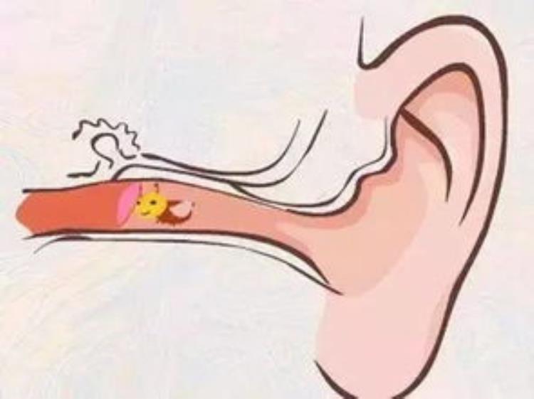 当你坐地铁的时候耳朵会不会感到不适「当你坐地铁的时候耳朵会不会感到不适」