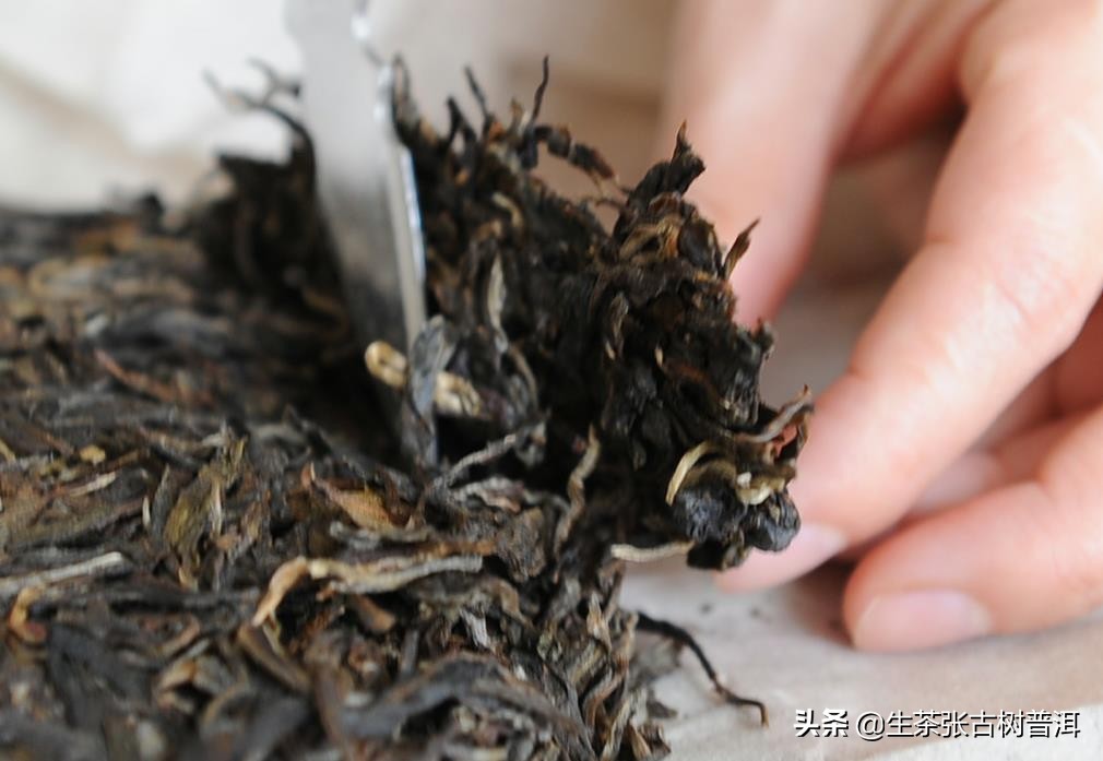 茶刀怎么用（普洱茶的拆解茶法详细步骤分享）