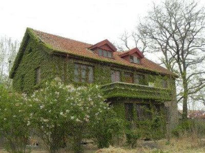 ​即墨一中的前世今生