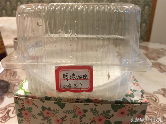 平民姐阳台种草莓(43) 惊蛰之时 图片记录草莓种子育苗过程—催芽