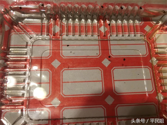 平民姐阳台种草莓(43) 惊蛰之时 图片记录草莓种子育苗过程—催芽