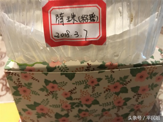 平民姐阳台种草莓(43) 惊蛰之时 图片记录草莓种子育苗过程—催芽