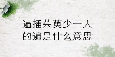 ​遍插茱萸少一人的遍什么意思_原文注释
