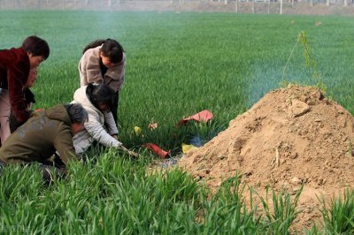 ​今天冬至，一会去祭祖，祭祖的传统习俗各地虽异