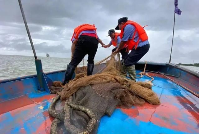 海猪是什么，海猪是什么，能吃吗？图8