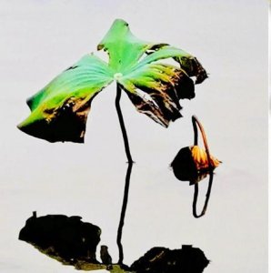 ​农村人很可怕