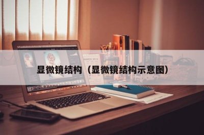 ​显微镜结构（显微镜结构示意图）