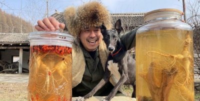 ​荡气回肠打一个动物，荡气回肠打一动物？