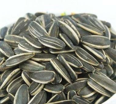 芜湖特产，作文芜湖的特产？图7