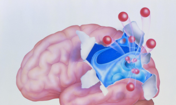 多巴胺是什么受体激动剂,多巴胺是什么意思图2