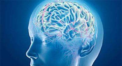 多巴胺是什么受体激动剂,多巴胺是什么意思图1