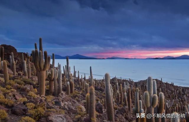 玻利维亚天空之镜是什么（玻利维亚乌尤尼）(14)