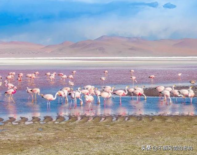 玻利维亚天空之镜是什么（玻利维亚乌尤尼）(4)