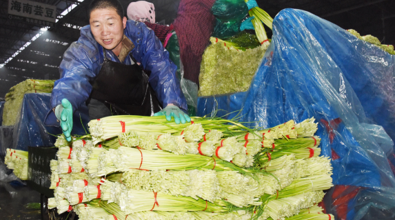 北京新发地市场在哪个区,现在北京的新发地在哪个区图6