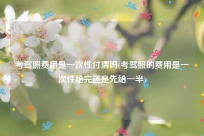​考驾照费用是一次性付清吗(考驾照的费用是一次性给完还是先给一半)