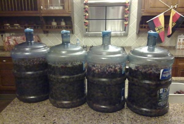 自酿葡萄酒可以存放多久