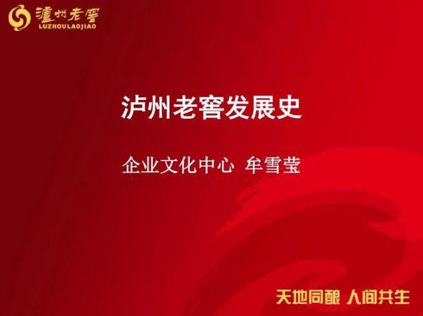 泸州老窖公司运行