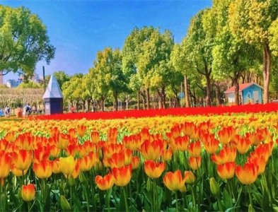 ​大宁公园美成魔都顶流，但门口提示牌30个“禁止” 看呆上海人：是公园还是禁地