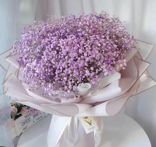 满天星的花语,满天星的花语是是什么?图3