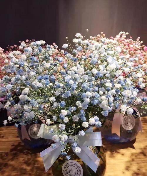 满天星的花语,满天星的花语是是什么?图1