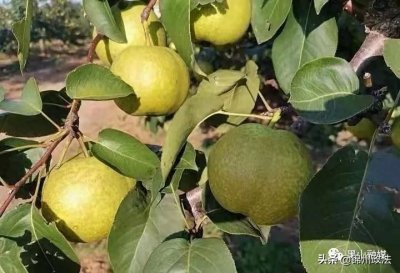 ​乡镇风采丨太和镇