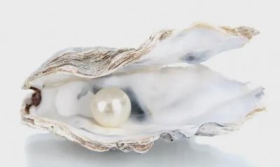 ​珍珠质是什么分泌出来的，人工养殖珍珠形成的原因是什么？