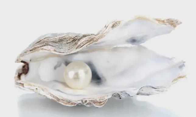 人工养殖珍珠形成的原因是什么