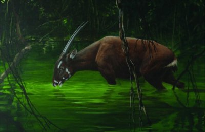 ​数量不足200只，罕见亚洲麒麟现身安南山脉！它和麒麟有关系吗？