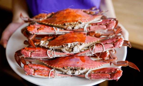 梭子蟹怎么选有蟹黄的,梭子蟹怎么挑选肥的图2