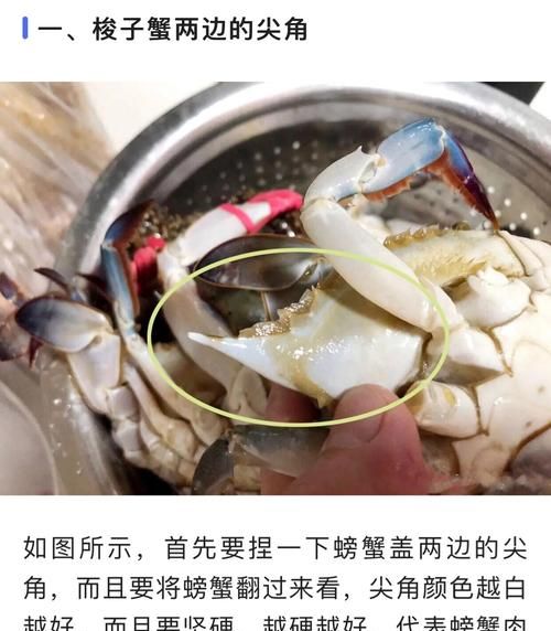 梭子蟹怎么挑