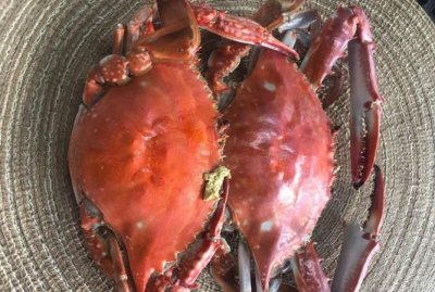 ​梭子蟹怎么选有蟹黄的,梭子蟹怎么挑选肥的