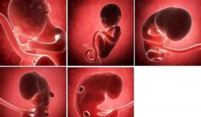 ​孕妇钙片什么时候吃最好吸收(孕妇钙片什么时候吃吸收效果最好)